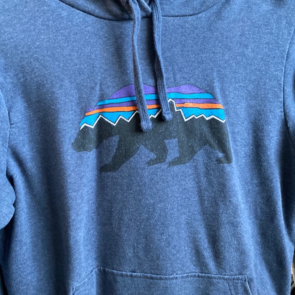 Patagonia Hoodie